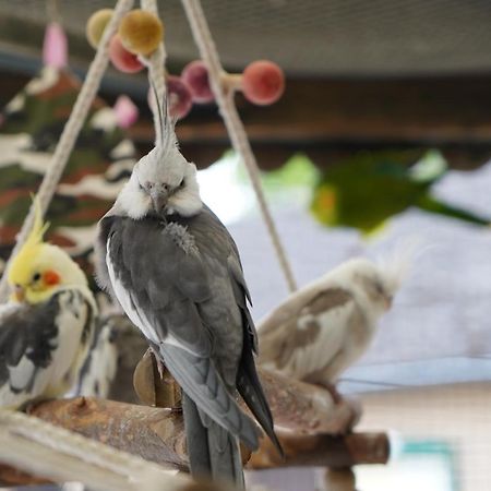 Maerchencamping Щур Екстериор снимка